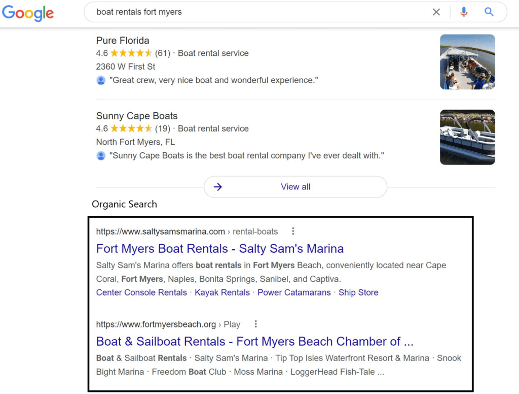 Google search results page. A box highlighting the organic search results.